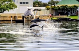 Waterfront Licensed Café  – Freehold & Business Opportunity