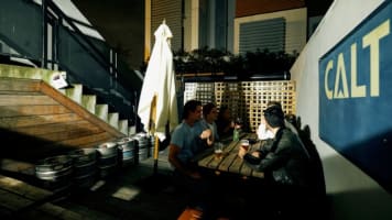 NEW PRICE - ​MUST BE SOLD - FLY LIE BAR – KEW