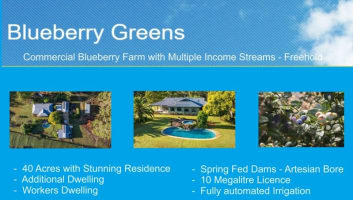 Blueberry Greens Award-Winning Farm + Freehold Lifestyle Property