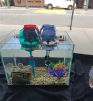 TRUSTWOOD TROPHIES/BINALONG PROMOTIONAL CLOTHING - ESTABLISHED 40 YEARS - LARGE CLIENT BASE - CEN...