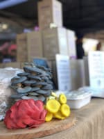 E696c1ny4tn1e8uyulum