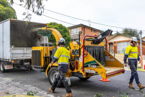 Vegetation Maintenance Municipal Contractor