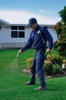 Established Coochie HydroGreen Lawn Care Franchise for Sale – Port Stephens, NSW