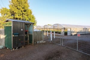 Western Victoria Agricultural Farm Land and Infrastructure (IWF2401)