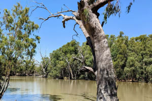 Ebida5ov9zjzjjmhylyd