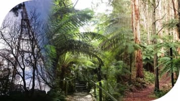 Boutique Accommodation Retreat + Freehold - Dandenong Ranges