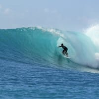 Ehofmacabi0arfhyd7ae