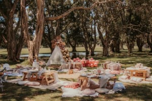 THE LATIN BITE EVERYTHING GRAZING PICNICS CELEBRATORY EVENTS