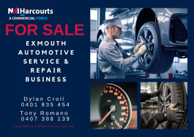 20-Year Established Automotive Business