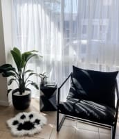 DOG GROOMING BUSINESS