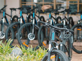 A perfect opportunity to make the tree change and make money from day one