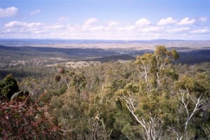 ICONIC LOG CABIN TEA HOUSE RESTAURANT WITH TOP VIEWS UNDER MT GLADSTONE LOOKOUT