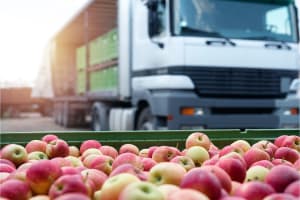 Premium Fresh Produce Wholesale & Retail – Two Distinct Businesses for Sale