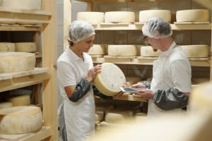Cheese Producer & Modern Regional Cafe