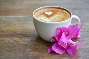 Cafe For Sale