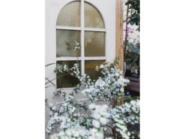 Boutique Plant / Garden Nursery & Giftware Store  Creative Lifestyle Business | Sydney