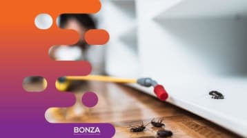 Em11asbp0csxhs8sze56