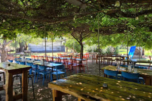 Emdknugioubvaexhc7io