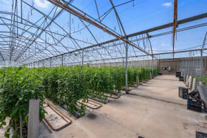 Hydroponic Vegetable Crop Farm - Land, Buildings & Machinery