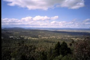 ICONIC LOG CABIN TEA HOUSE RESTAURANT WITH TOP VIEWS UNDER MT GLADSTONE LOOKOUT