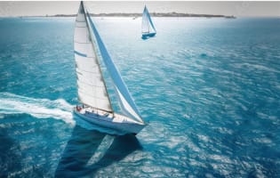 Exceptional Strategic Acquisition Opportunity