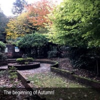 HERITAGE SEED BANK and OPEN GARDEN