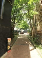 Eqrd84kwndnwt3plppwx