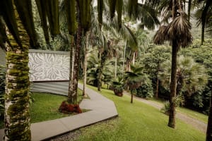 Daintree Rainforest Luxe Eco Lodge For Sale