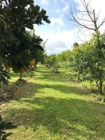 Nestled between Mission Beach and Innisfail your future awaits.