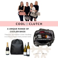 COOL CLUTCH COOLER HANDBAG - MULTI MILLION DOLLAR ONLINE BUSINESS POTENTIAL