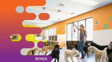 35643 Established Dog Grooming & Daycare Business - Growth Potential