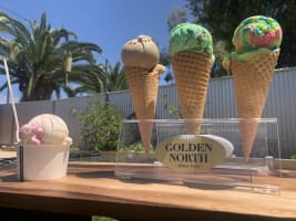 Evnm14x4o5irralgp9fi