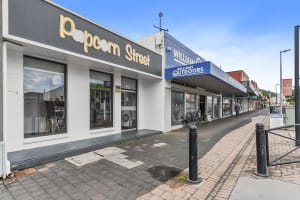 Newly Renovated Freehold Opportunity  Prime High Street Exposure