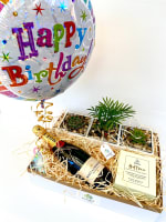 Succulent Surprise - Established Online Plant Store and Gifting Brand - National Opportunity