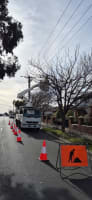 Vegetation Maintenance Municipal Contractor - EBS