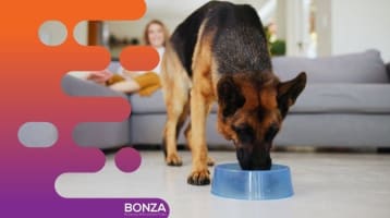 36479 Established Pet Food Manufacturing Business - Growing Market