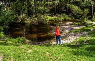 Agriculture, Recreation and Luxe Accommodation Development Opportunity