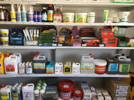 Thriving Business in the Golden Triangle