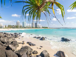 F2szrt7tc8uhpdpjbaub