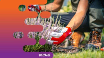 36202 Thriving Landscape Construction Business  Established & Profitable