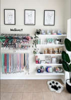 DOG GROOMING BUSINESS