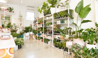 F464yhbopjrbbbfptqkn