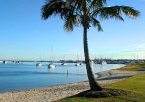 Northern Gold Coast Resort - ID 8047