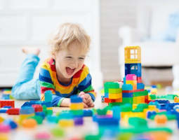 Large National Toy Product Importer, Wholesaler/Distributor #381