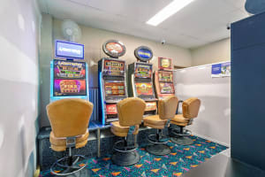 F7uxpcz1ss9nh13q6fkr