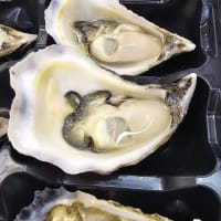 Fresh Seafood Business - Easy To Run