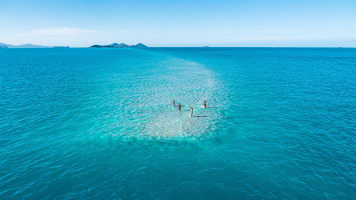 Well established Yacht Management business of 7+years