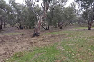 Iconic Conargo Hotel, Conargo NSW - Freehold Going Concern