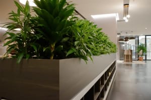 High-Margin Plant Service Business