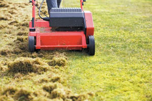 Highly Profitable Lawn Renovation & Sports Field Maintenance Business